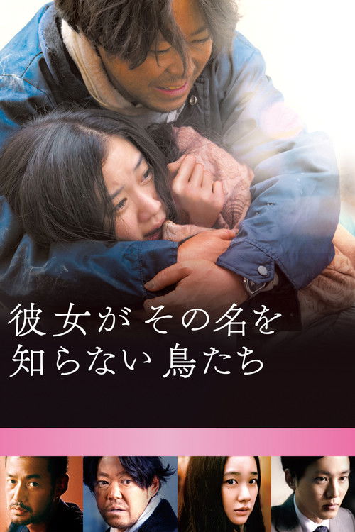 Póster de 彼女がその名を知らない鳥たち