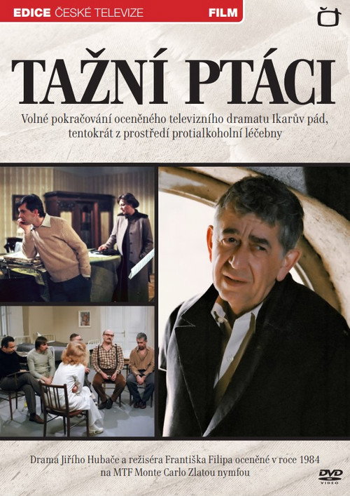 Póster de Tažní ptáci