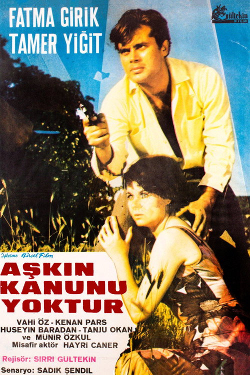 Póster de Aşkın Kanunu