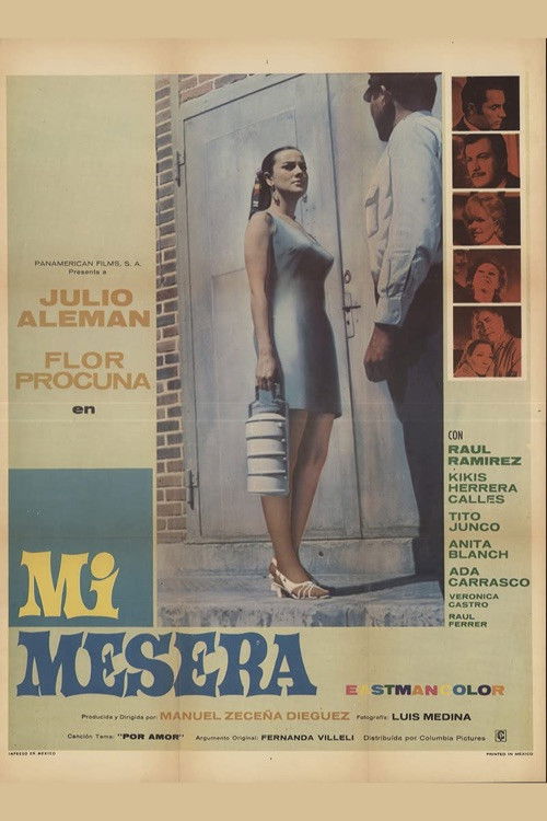 Póster de Mi mesera