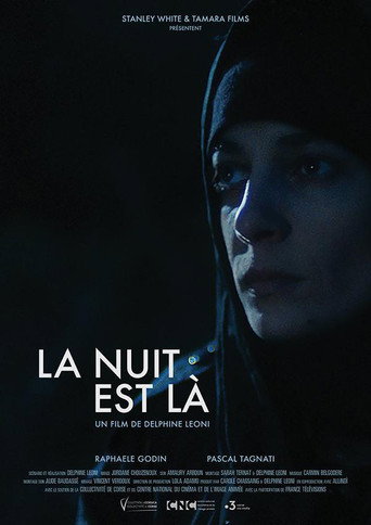 Póster de La Nuit est là
