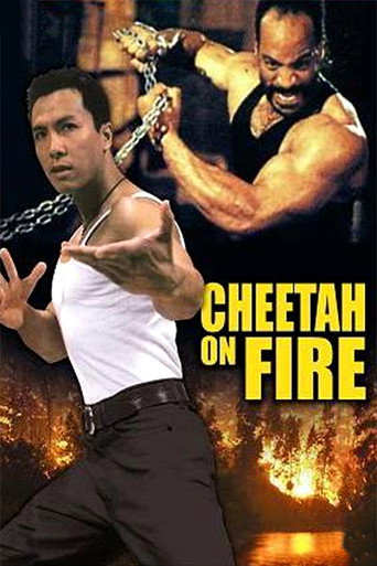 Póster de 獵豹行動