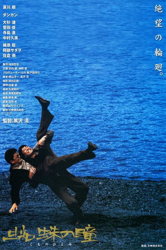 Póster de 蜘蛛の瞳