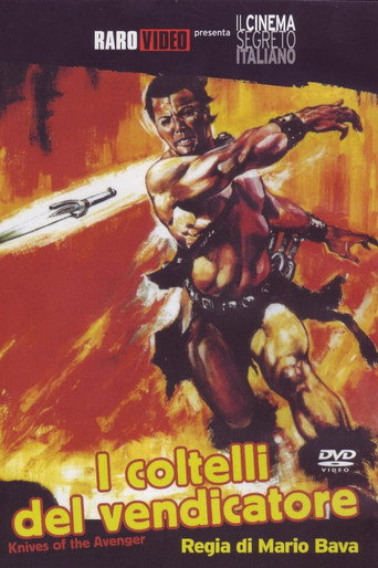 Póster de I coltelli del vendicatore