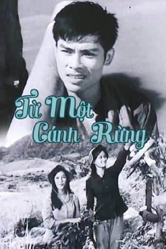 Póster de Từ Một Cánh Rừng