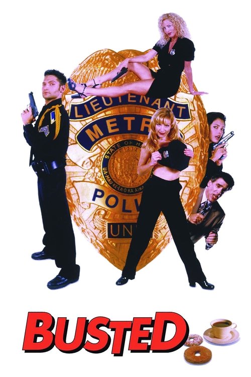 Póster de Busted