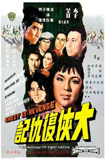 Póster de 大侠复仇记