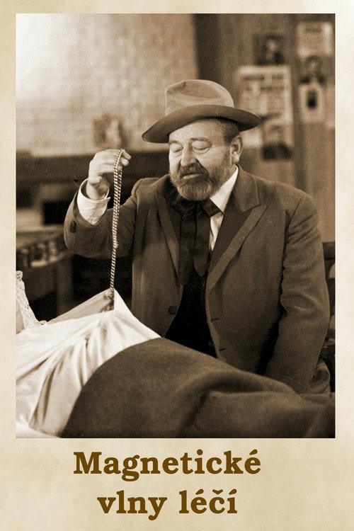 Póster de Magnetické vlny léčí