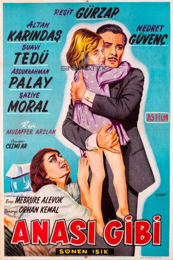 Póster de Anası Gibi