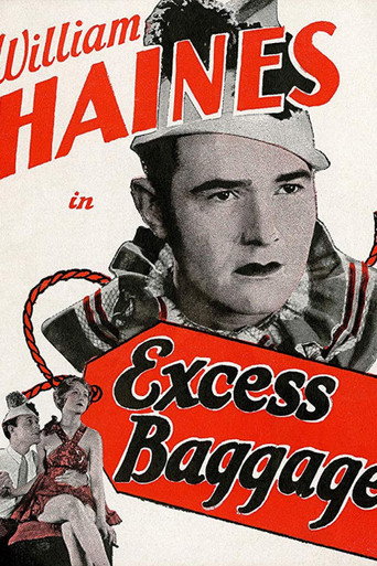 Póster de Excess Baggage