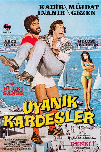 Póster de Uyanık Kardeşler