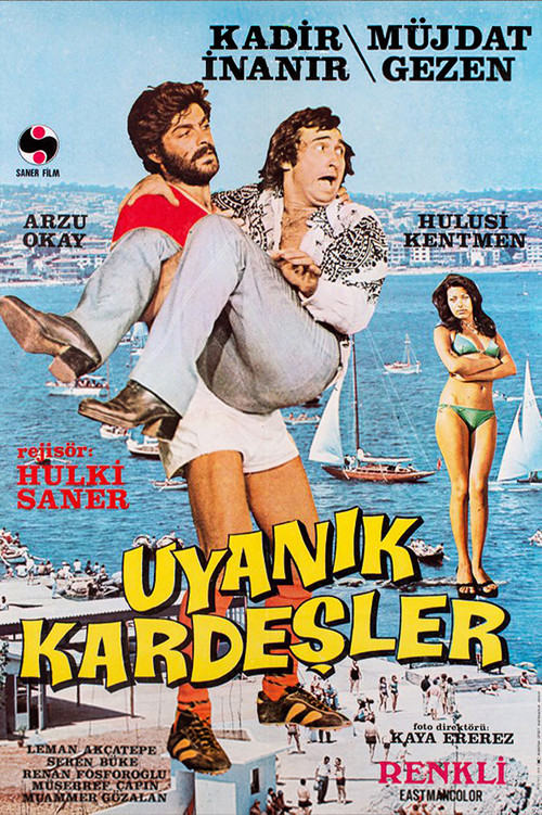 Póster de Uyanık Kardeşler