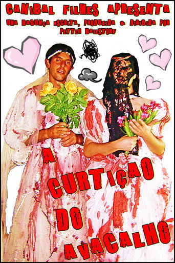 Póster de A Curtição do Avacalho