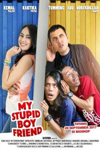 Póster de My Stupid Boyfriend