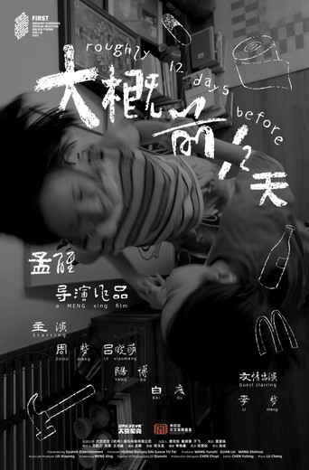Póster de 大概前12天