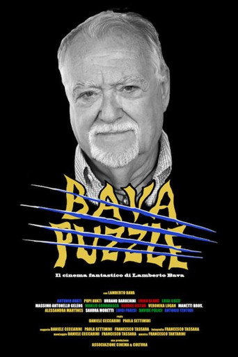 Póster de Bava Puzzle
