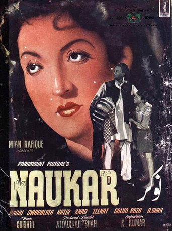Póster de Naukar