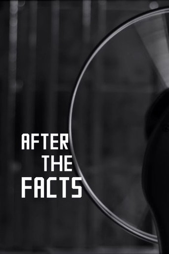 Póster de After the Facts