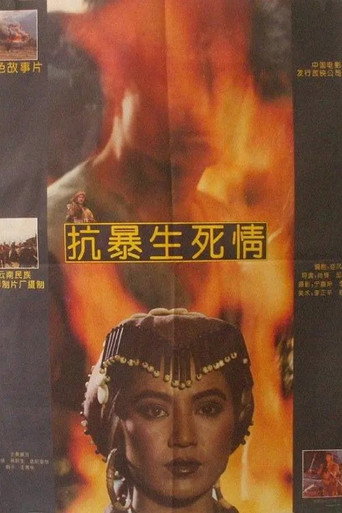Póster de 抗暴生死情