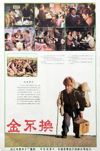 Póster de 金不换