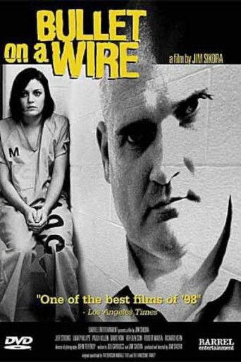 Póster de Bullet on a Wire