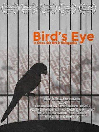 Póster de Bird's Eye