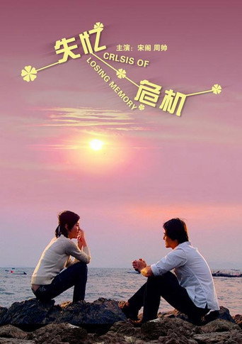 Póster de 失忆危机
