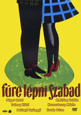 Póster de Fűre lépni szabad