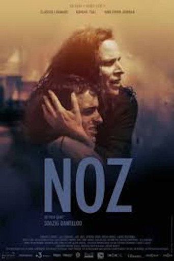 Póster de Noz