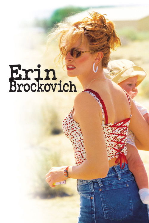 Póster de Erin Brockovich, una mujer audaz