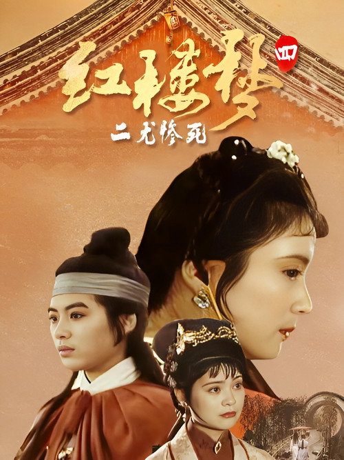 Póster de 红楼梦第四部：二尤惨死