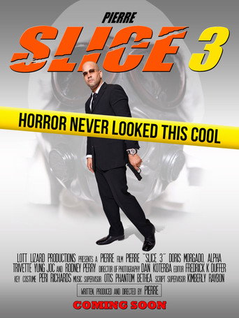 Póster de Slice 3