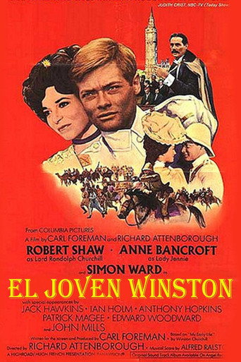 Póster de Young Winston