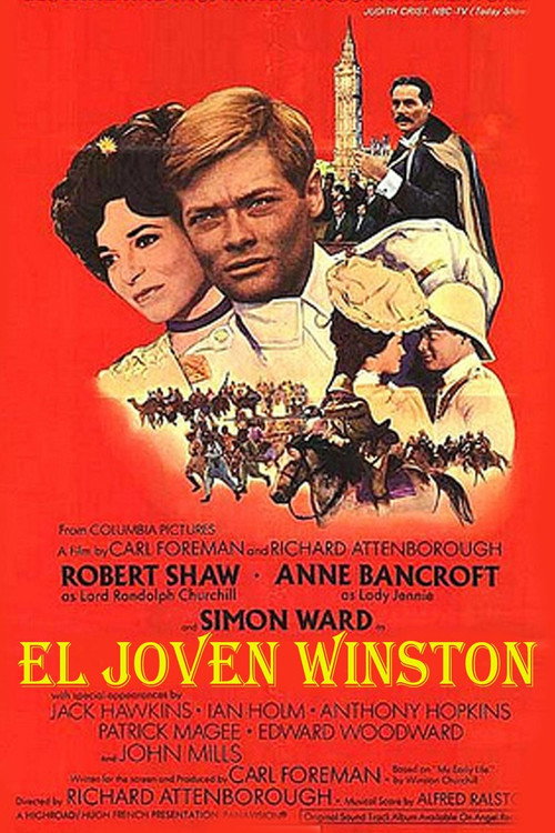Póster de Young Winston