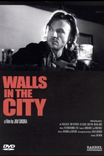 Póster de Walls in the City