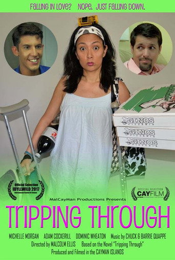Póster de Tripping Through