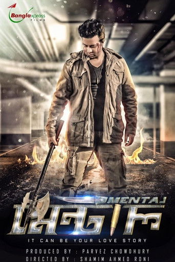 Póster de The Mental
