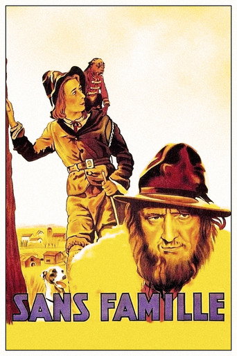 Póster de Sans famille