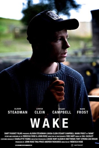 Póster de Wake