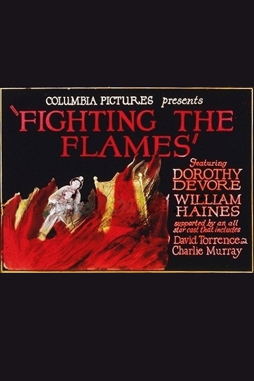 Póster de Fighting the Flames