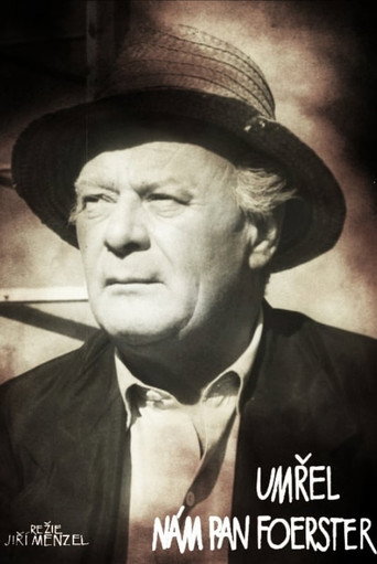 Póster de Umřel nám pan Foerster