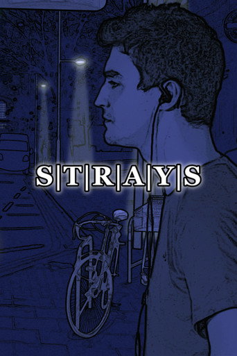 Póster de S|T|R|A|Y|S
