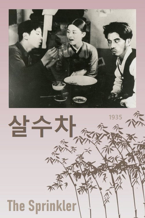 Póster de 살수차