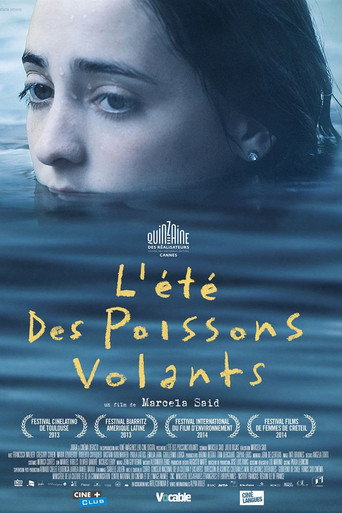 Póster de El verano de los peces voladores