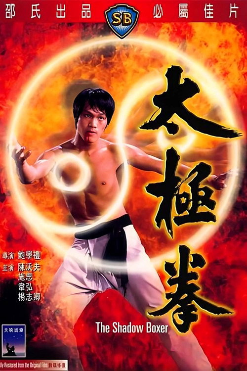 Póster de 太極拳