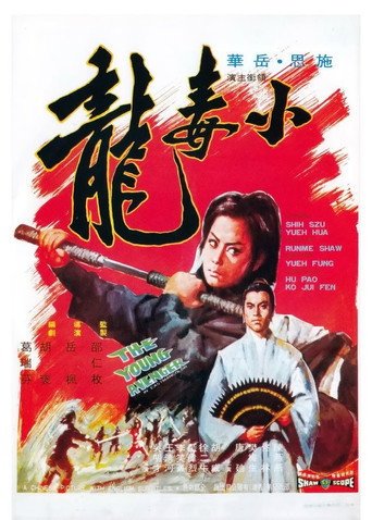 Póster de 小毒龍