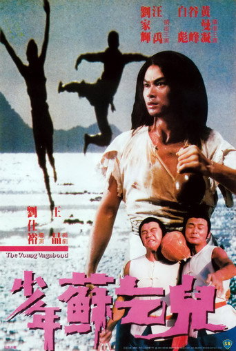 Póster de El joven vagabundo