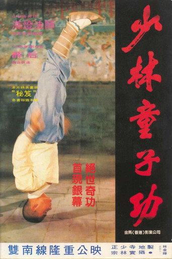 Póster de 少林童子功