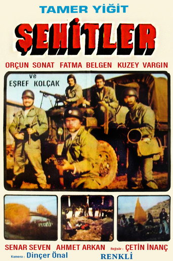 Póster de Şehitler