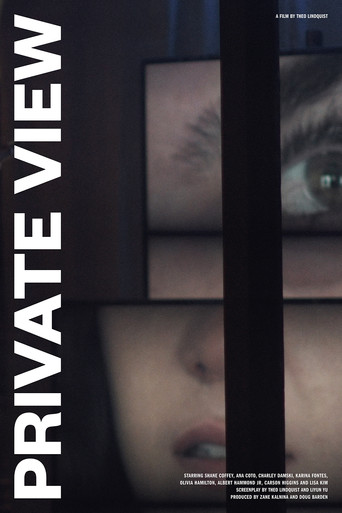 Póster de Private View